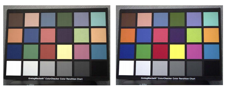 Before and After Color Correction